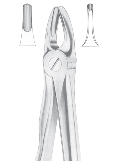 Fig. 3 upper incisors and canines 